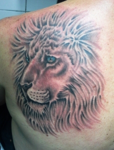 Lion Head (3)